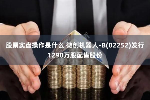 股票实盘操作是什么 微创机器人-B(02252)发行1290万股配售股份