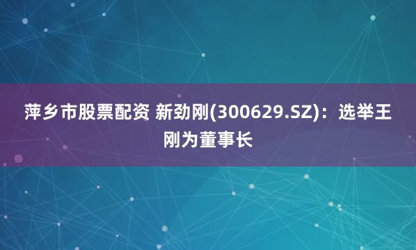 萍乡市股票配资 新劲刚(300629.SZ)：选举王刚为董事长